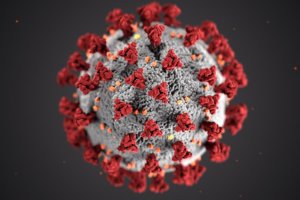 image of covid-19 virus